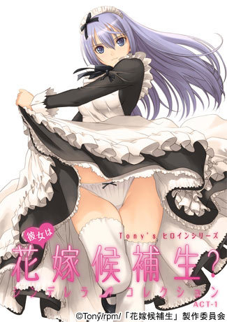 Поиски супруги: Кто достойна быть невестой? Коллекция золушек / Tony's Heroine Series: Kanojo wa Hanayome Kouhosei? Cinderella Collection